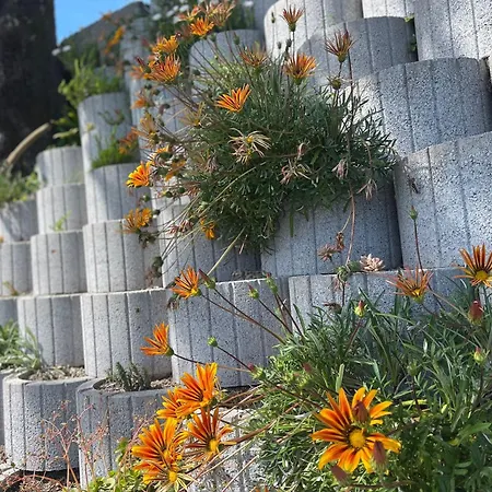 Casa D'avo Lina - Geres Holiday home Terras de Bouro