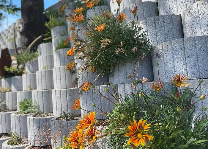 Casa D'avo Lina - Geres Vakantiehuis Terras de Bouro